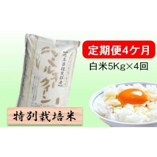 ふるさと納税 米 ミルキークイーン 岐阜県 池田町 定期便 4カ月 令和8年産 毎月 白米 5kg ミルキークイーン