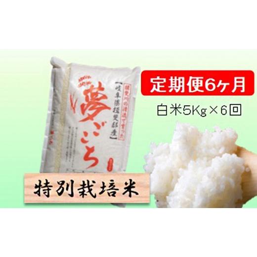 ふるさと納税 米 岐阜県 池田町 定期便 6カ月 令和8年産 毎月 白米 5kg 夢ごこち