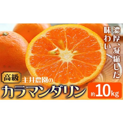 ふるさと納税 果物類 みかん 和歌山県 日高町 先行予約 高級カラマンダリン 約10kg 主井農園[4月上旬-5月中旬頃出荷] 和歌山県 日高町 カラマンダリン みか…