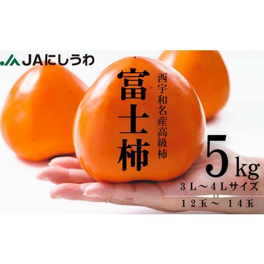 ふるさと納税 果物類 柿 愛媛県 八幡浜市 先行受付 JAにしうわの季節のくだもの(富士柿5kg) E08-23 ふるさと納税 柿 かき 富士柿 フルーツ カキ 果物 2.5kg 5…