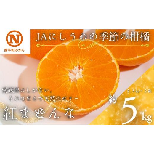 ふるさと納税 果物類 みかん 愛媛県 八幡浜市 先行受付 JAにしうわの季節の柑橘(紅まどんな 約2.5kg×2箱) H08-50 _ 紅マドンナ 紅まどんな みかん ミカン 常…