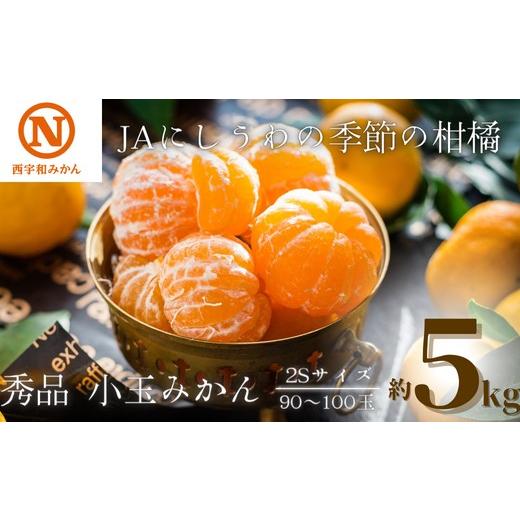 ふるさと納税 果物類 みかん 愛媛県 八幡浜市 先行受付 JAにしうわの季節の柑橘(にしうわみかん「秀品2S小玉みかん」約5kg) C08-73 _ みかん ミカン 柑橘 フ…