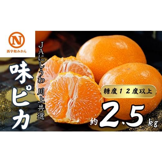 ふるさと納税 果物類 みかん 愛媛県 八幡浜市 先行受付 JAにしうわの季節の柑橘(川上共選味ピカ2.5kg) C08-78 みかん ミカン 蜜柑 果物 くだもの フルーツ デ…