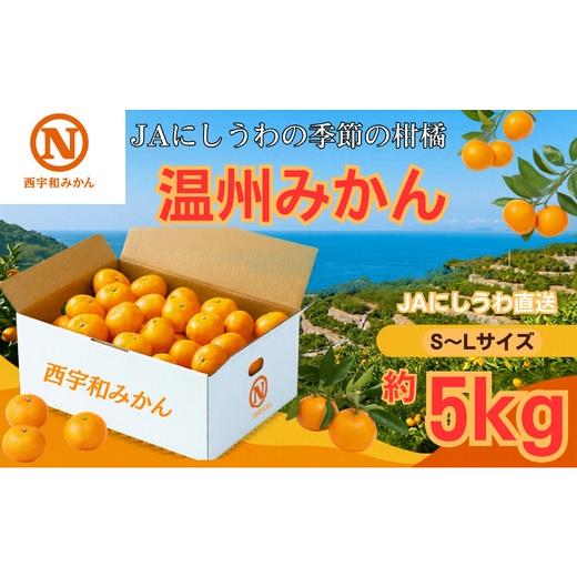 ふるさと納税 果物類 みかん 愛媛県 八幡浜市 先行受付 JAにしうわ直送 にしうわ温州みかん 約5kg C08-97 みかん ミカン 蜜柑 温州みかん 果物 くだもの フ…