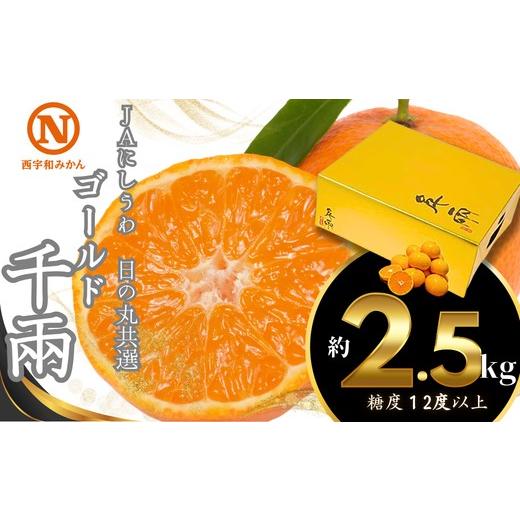 ふるさと納税 果物類 みかん 愛媛県 八幡浜市 先行受付 JAにしうわの季節の柑橘(日の丸共選「ゴールド千兩」約2.5kg) 08-98 みかん ミカン 蜜柑 果物 くだも…