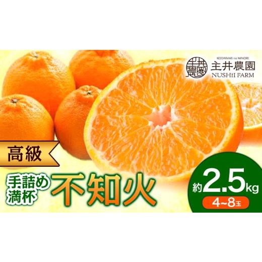 ふるさと納税 果物類 みかん 和歌山県 日高町 先行予約 高級 不知火 ( デコポン と同品種) 約2.5kg 箱手詰め満杯 4~8玉 主井農園[2月中旬-3月上旬頃出荷] …