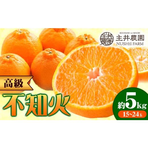 ふるさと納税 果物類 みかん 和歌山県 日高町 先行予約 高級 不知火 ( デコポン と同品種) 約5kg 15~24玉 主井農園[2月中旬-3月上旬頃出荷] 和歌山県 日高…