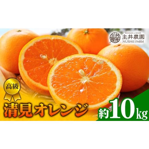ふるさと納税 果物類 みかん 和歌山県 日高町 先行予約 高級 清見オレンジ 約 10kg 主井農園[2月下旬-3月中旬頃出荷] 和歌山県 日高町 高級 清見 オレンジ …