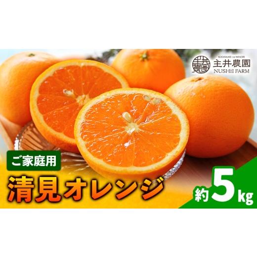 ふるさと納税 果物類 みかん 和歌山県 日高町 先行予約 清見オレンジ ご家庭用 約 5kg 主井農園[2月下旬-3月中旬頃出荷] 和歌山県 日高町 清見 オレンジ 訳…