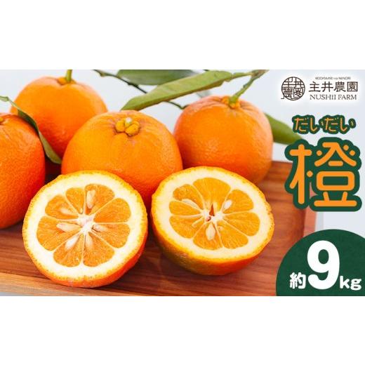 ふるさと納税 みかん・柑橘類 和歌山県 日高町 先行予約 みかん だいだい 主井農園の橙 9kg 主井農園[12月中旬-2月上旬頃出荷] 和歌山県 日高町 みかん 柑…