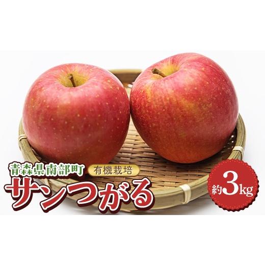 ふるさと納税 りんご 青森県 南部町 有機栽培 りんご サンつがる 約3kg 和楽堂りんご養生農苑 青森りんご リンゴ 林檎 アップル あおもり 果物 くだもの フル…