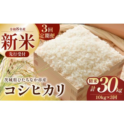 ふるさと納税 米 コシヒカリ 茨城県 ひたちなか市 3回定期便 令和8年産 コシヒカリ 精米 10kg 茨城県ひたちなか市産 | 定期便 3回 こしひかり コシヒカリ 米 …