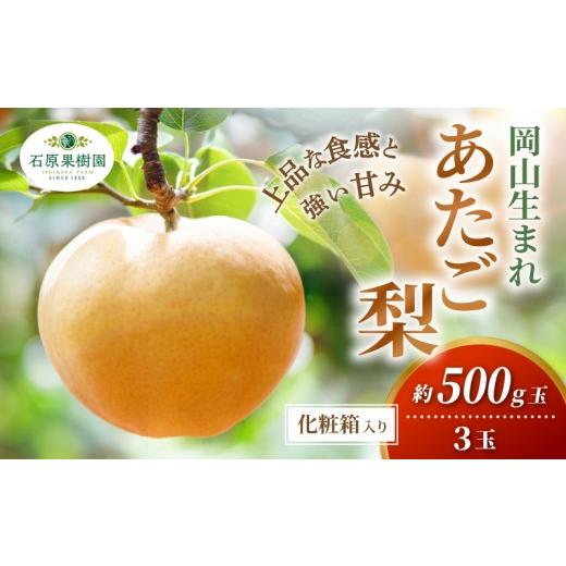 ふるさと納税 梨 岡山県 真庭市 梨 あたご梨 先行予約 約500g玉3玉 化粧贈答箱 赤秀 岡山県産 | あたご梨 愛宕梨 梨 特選品 上級品 贈り物 御歳暮 果物 くだも…