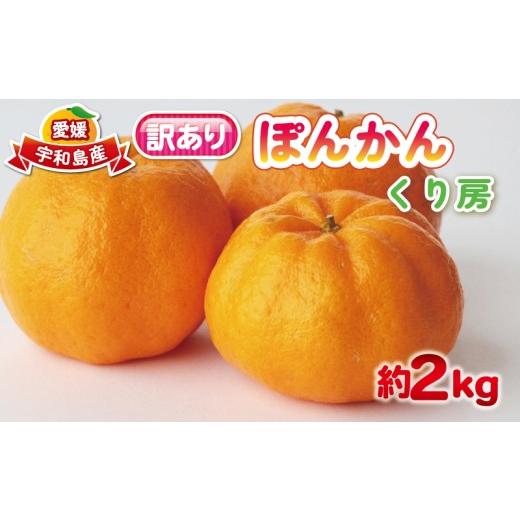 ふるさと納税 果物類 みかん 愛媛県 宇和島市 訳あり ぽんかん 約 2kg くり房 ポンカン 椪柑 訳アリ 訳あり品 愛媛みかん 愛媛蜜柑 蜜柑 みかん mikan 柑橘 柑…