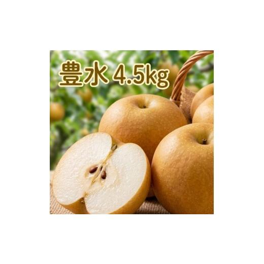 ふるさと納税 梨 長野県 高森町 豊水4.5kg 南信州産 梨(12玉〜16玉) 長野県 信州 高森町 産地直送 果物 くだもの なし ナシ 和梨 旬 旬の果物 旬の梨 ギフト…