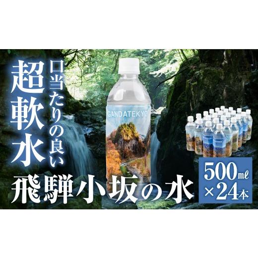 ふるさと納税 水・ミネラルウォーター 1L〜2L 岐阜県 下呂市 先行予約2026年11月中旬頃から順次発送 飛騨小坂の水(ナチュラルミネラルウォーター) 500ml×2…