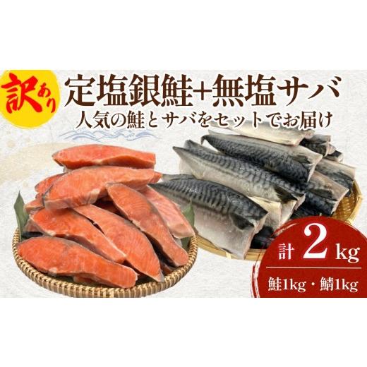 ふるさと納税 魚貝類 鮭 宮城県 石巻市 [訳あり] 定塩銀鮭 約 1kg / 無塩サバフィレ 約 1kg 切り身 セット 合計 2kg 食べ比べ 詰め合わせ 鮭 サバ 塩鮭 甘…