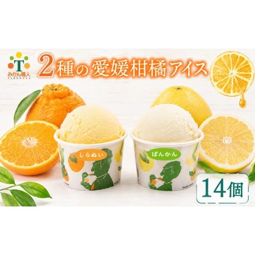 ふるさと納税 菓子 アイス 愛媛県 愛南町 柑橘アイス カップ 14個 (2種 各7個入り) 河内晩柑 しらぬい アイス ジェラート シャーベット ソルベ アイスクリーム…