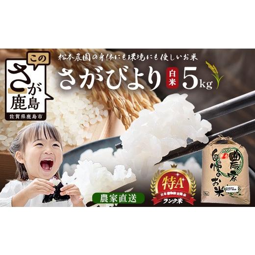 ふるさと納税 米 佐賀県 鹿島市 先行受付 令和8年産 新米 さがびより 5kg 佐賀県産 特A評価獲得品種 白米 米 お米 こめ 毎月お届け 定期便 佐賀県 鹿島市 C-20…