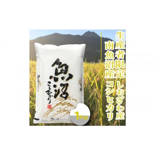 ふるさと納税 米 コシヒカリ 新潟県 南魚沼市 令和8年産 新米予約 1Kg 生産者限定/契約栽培 南魚沼しおざわ産コシヒカリ 銘柄米 精米 こしひかり コシヒカ…