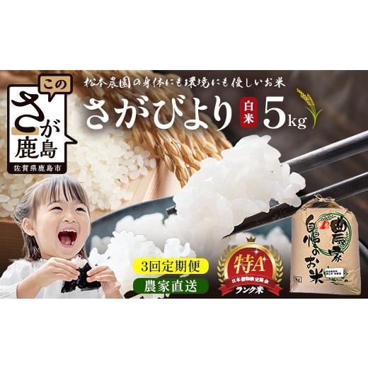 ふるさと納税 米 佐賀県 鹿島市 先行受付 3回定期便 令和8年産 新米 さがびより 5kg×3回 計15kg 佐賀県産 特A評価獲得品種 白米 米 お米 こめ 毎月お届け 定…