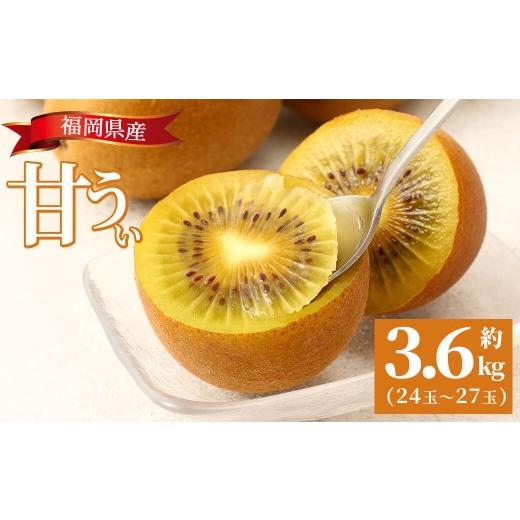ふるさと納税 果物類 福岡県 芦屋町 先行予約受付中 2026年10月下旬以降順次発送予定 福岡県産 甘うぃ(計3.6kg・24玉〜27玉)キウイ あまうぃ 果物 くだもの …