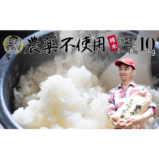 ふるさと納税 米 コシヒカリ 京都府 舞鶴市 令和7年産 棚田米 コシヒカリ 10kg 精米|栽培期間中農薬不使用 京都府舞鶴市 農家直送