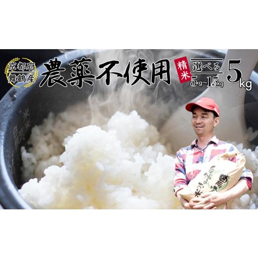 ふるさと納税 米 コシヒカリ 京都府 舞鶴市 令和7年度産 棚田米 5kg 精米 栽培期間中農薬不使用 白米 京都 舞鶴 農家直送 コシヒカリ こしひかり 減農薬 低農…