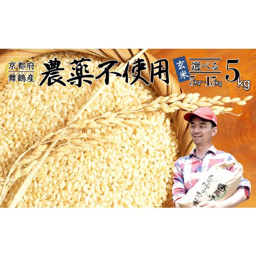 ふるさと納税 米 コシヒカリ 京都府 舞鶴市 令和7年産 棚田米 玄米 5kg 農薬不使用 栽培 農家直送 コシヒカリ 京都舞鶴