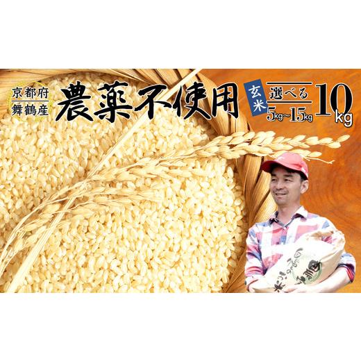 ふるさと納税 米 コシヒカリ 京都府 舞鶴市 令和7年度産 棚田米 玄米 10kg 栽培期間中 農薬不使用 農家直送 生産者直送 コシヒカリ こしひかり 10キロ 京都産 …