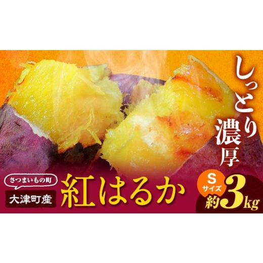 ふるさと納税 野菜類 サツマイモ 熊本県 大津町 先行予約 タカハマ観光農園 の 紅はるか 約3kg Sサイズ[1月上旬-5月末頃出荷]熊本県 大津町 さつまいも さ…
