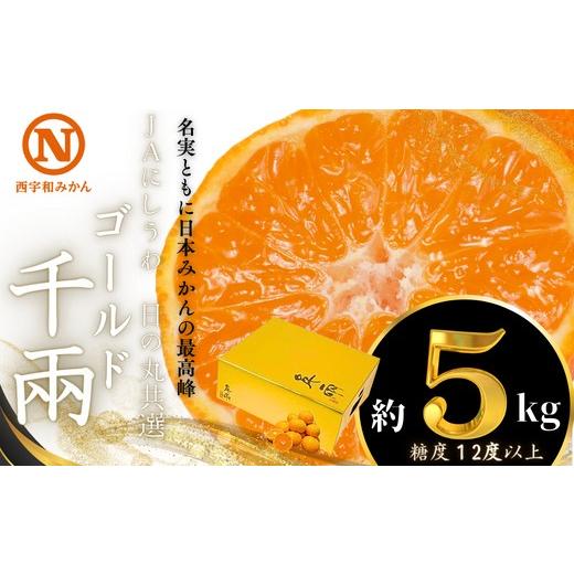 ふるさと納税 果物類 みかん 愛媛県 八幡浜市 先行受付 JAにしうわの季節の柑橘(日の丸共選「ゴールド千兩」約5kg) F08-45 _ みかん ミカン 柑橘 フルーツ く…