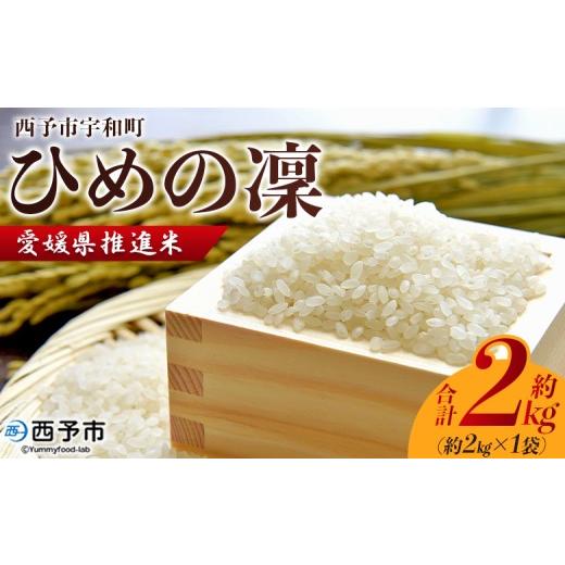 ふるさと納税 米 愛媛県 西予市 令和7年産 愛媛県推進米 ひめの凜 約2kg お米 コメ こめ 白米 精米 単一原料米 穀物 ひめのりん ヒメノリン ヒメノ凜 ブラン…