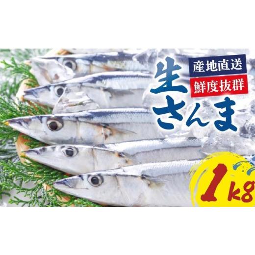 ふるさと納税 魚貝類 さんま 岩手県 大船渡市 さんま 約1kg サンマ 冷蔵 秋刀魚 鮮さんま 限定 期間限定 旬 簡単調理 焼き魚 煮魚 フライ おかず おつまみ 晩…