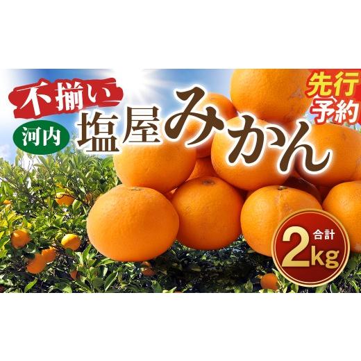 ふるさと納税 果物類 みかん 熊本県 熊本市 R8年熊本地震復興支援 2026年10月発送予定 不揃い 選べる 河内 塩屋みかん 2kg 極早生みかん 熊本 国産 みかん 蜜…