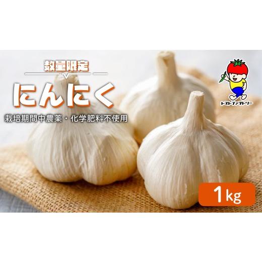 ふるさと納税 野菜類 薬味 滋賀県 日野町 期間限定 にんにく 1kg トマトファクトリー 栽培期間中 農薬 化学肥料不使用 ニンニク 大蒜 乾燥 不揃い 正規品 お…