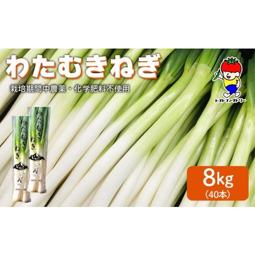 ふるさと納税 野菜類 ねぎ 滋賀県 日野町 先行予約 期間限定 日野町産 わたむきねぎ 8kg 40本 トマトファクトリー 野菜 ねぎ ネギ 長ネギ 白ネギ 詰め合わせ …