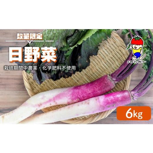 ふるさと納税 人参・大根・他根菜 滋賀県 日野町 先行予約 期間限定 日野町産 日野菜 6kg トマトファクトリー 野菜 漬物 漬け物 ひのな ひの菜 詰め合わせ セ…