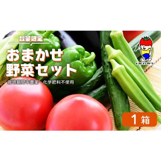 ふるさと納税 セット・詰合せ 滋賀県 日野町 数量限定 おまかせ野菜セット 1箱 トマトファクトリー 野菜 トマト きゅうり 白菜 オクラ じゃがいも 玉ねぎ な…
