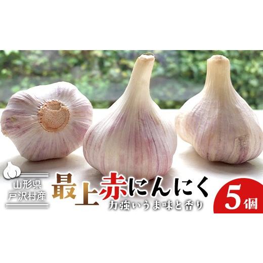 ふるさと納税 野菜類 薬味 山形県 戸沢村 山形県 戸沢村産 最上赤にんにく 5個 約250g 国産 野菜 やさい 大蒜 ニンニク ストック 保存 自宅 家庭