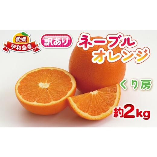 ふるさと納税 果物類 みかん 愛媛県 宇和島市 訳あり ネーブルオレンジ 約 2kg くり房 訳アリ 訳あり品 ネーブル オレンジ おれんじ orange 愛媛みかん 愛媛蜜…