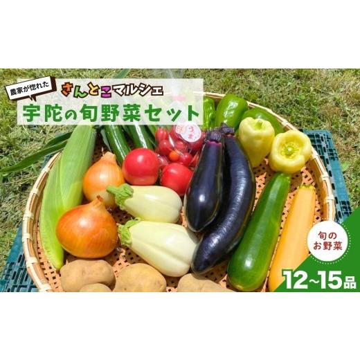 ふるさと納税 セット・詰合せ 奈良県 宇陀市 農家が惚れた「さんとこマルシェ」旬野菜セット(12-15品) / サムズアップ農園 農家 さんとこマルシェ ふるさと…