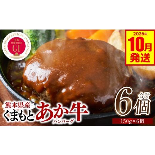 ふるさと納税 肉 ハンバーグ 熊本県 八代市 熊本県産 GI認証 くまもとあか牛100%使用 くまもとあか牛ハンバーグ 150g×6個 おかず 惣菜 洋食 ハンバーグ お肉 …