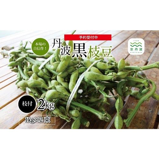 ふるさと納税 豆類 大豆 京都府 京丹波町 [先行予約] 丹波黒枝豆 枝付き 2kg (京都 京丹波町産 丹波黒大豆) 秋だけの期間限定 数量限定 季節限定 おつまみ…