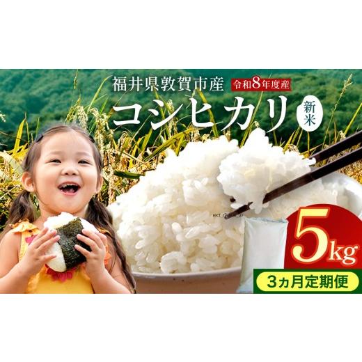 ふるさと納税 米 コシヒカリ 福井県 敦賀市 097-t3-a008 定期便 3ヶ月 令和8年産米 コシヒカリ精米 5kg