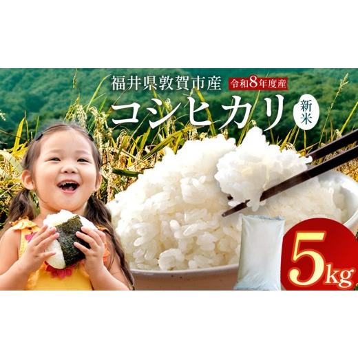 ふるさと納税 米 コシヒカリ 福井県 敦賀市 097-a008 令和8年産米 コシヒカリ精米 5kg