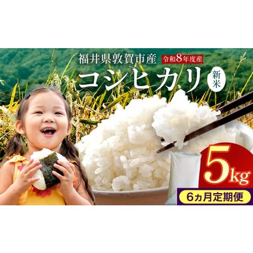 ふるさと納税 米 コシヒカリ 福井県 敦賀市 097-t6-a008 定期便 6ヶ月 令和8年産米 コシヒカリ精米 5kg