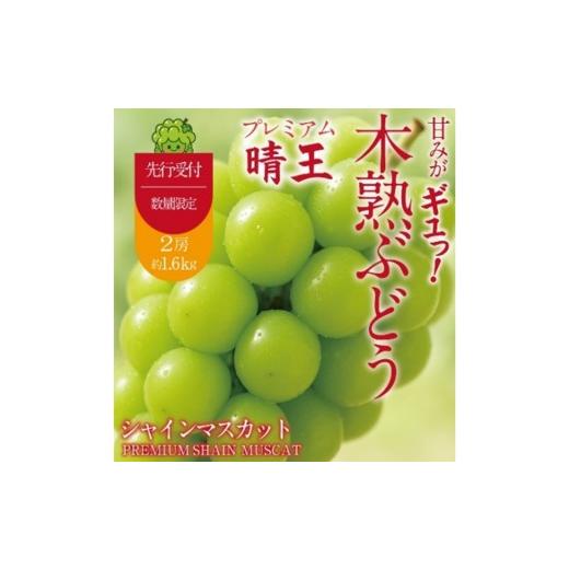 ふるさと納税 ぶどう マスカット 岡山県 玉野市 先行予約 木熟ぶどう ハレノシャイン シャインマスカット晴王 プレミアム シャインマスカット 晴王 2房 1.6kg…