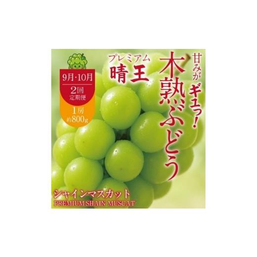 ふるさと納税 ぶどう マスカット 岡山県 玉野市 先行予約 9月・10月発送 2回定期便 木熟ぶどう ハレノシャイン シャインマスカット晴王 プレミアム シャインマ…