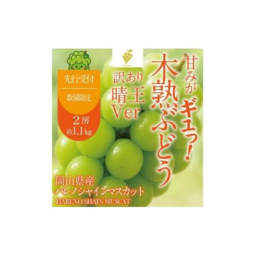 ふるさと納税 ぶどう マスカット 岡山県 玉野市 先行予約 訳あり 木熟ぶどう ハレノシャイン シャインマスカット晴王 2房 約1.1kg 9月〜10月発送 皮ごと食べる…